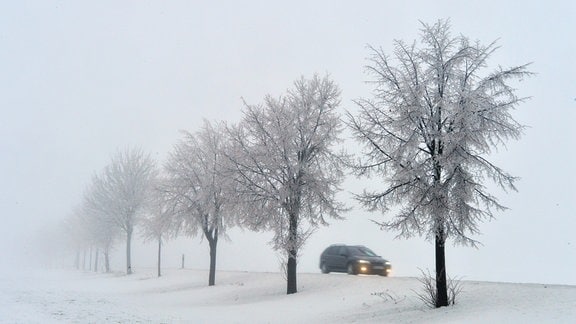 Nebel liegt über einer Landstraße auf der ein Auto fährt.
