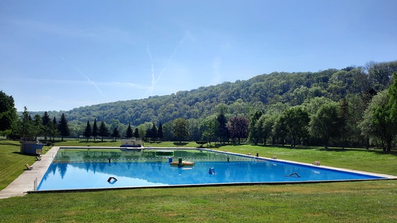Schwimmbecken mit Blick auf das angrenzende Waldgebiet im Freibad Camburg