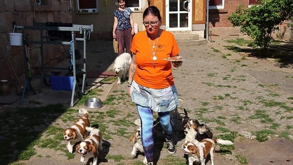Mehrere Hunde laufen einer Frau hinterher
