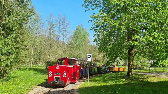 Eine kleine rote Schmalspurbahn fährt im Frühling.