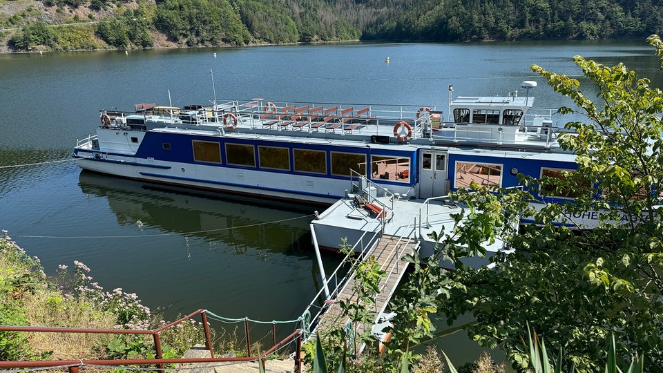 Tourists fear mass fish deaths in the Hohenwarte reservoir in Thuringia