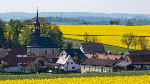 Ein Dorf zwischen gelb blühenden Feldern.
