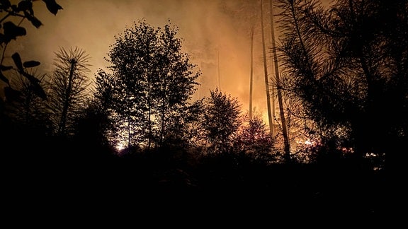 Feuerschein über einem dunklen Wald.