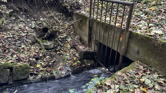 Ein Fluss in einem herbstlichen Graben.