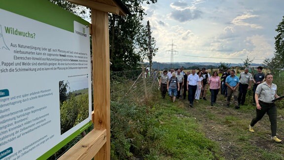 Menschen gehen auf dem Waldzukunftspfad an einer Informationstafel vorbei.