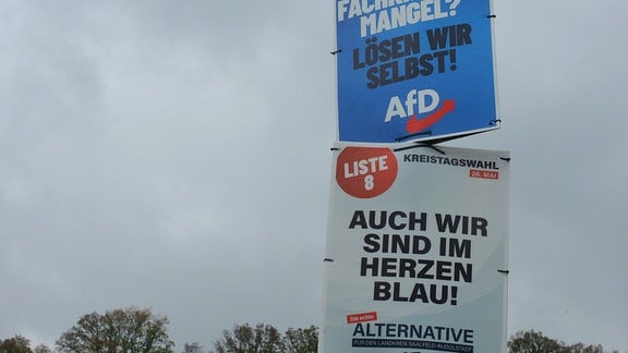 Zwei Plakate hängen an einem Laternenmast. Das obere im tpypischen AfD-Blau mit Logo und dem Slogan "Fachkräftemangel? Lösen wir selbst!". Das untere ist weiß mit schwarzer Schrift: "Auch wir sind im Herzen blau", steht hier geschrieben. Das untere wirbt für die Liste 8 und die Alternative für Saalfeld-Rudolstadt