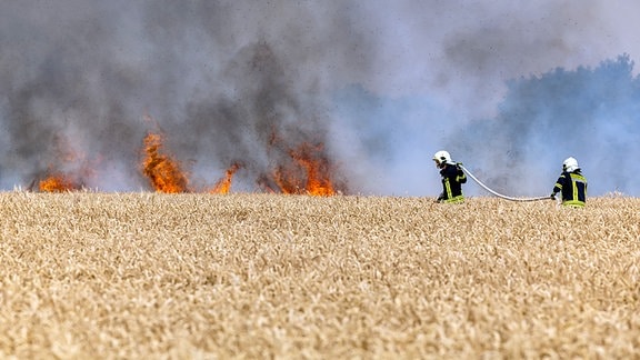 Zwei Feuerwehrleute mit einem Schlauch in einem brennenden Getreidefeld