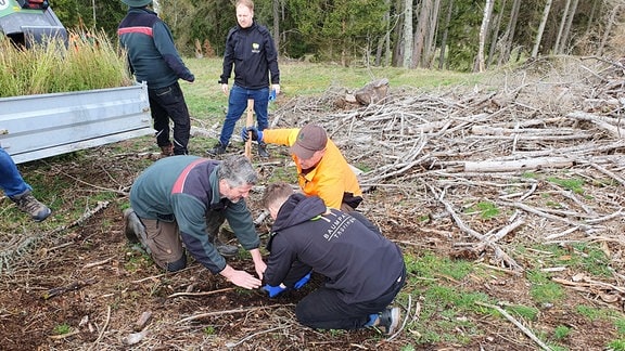 Forstamtsleiter Karsten Rose (links), Baumpate Martin Zink und ein Arbeiter von der Aufforstungsfirma Candrea setzen den ersten Baum
