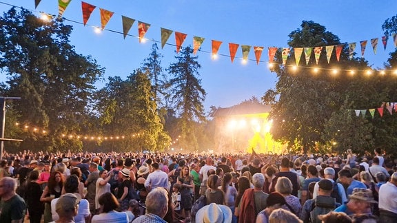 Besucher und Musiker auf dem Rudolstadt-Festival 2023