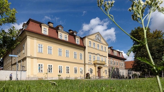 Neues Palais Arnstadt 