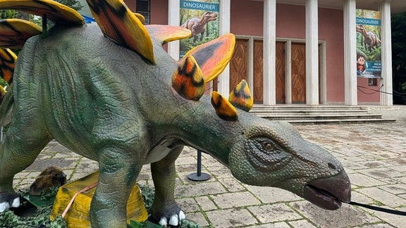 Vor dem Eingang des Planetariums in Jena steht ein großer, grüner Dinosaurier mit Knochenplatten auf dem Rücken - vermutlich ein Stegosaurus