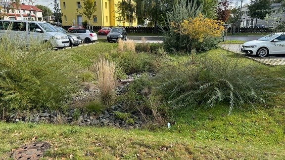 In einer Wiese neben einem Parklatz ist eine Mulde.