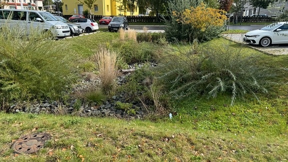 In einer Wiese neben einem Parklatz ist eine Mulde.