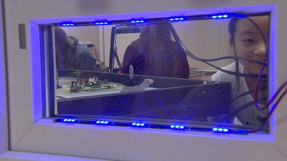 Spezielle UV-Licht-Lampen leuchten an einem rechteckigen Rahmen im Biologieunterricht der Goetheschule in Ilmenau