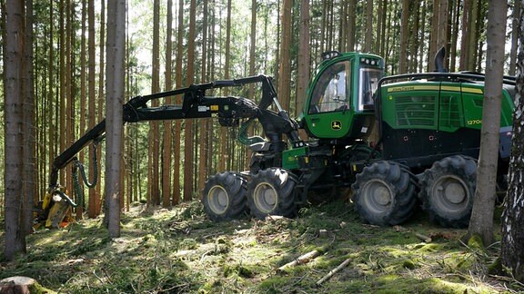 Eine Maschine im Wald
