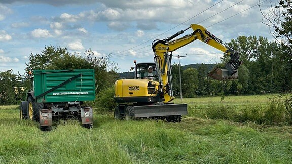 Ein Bagger und ein Lkw auf einer Wiese