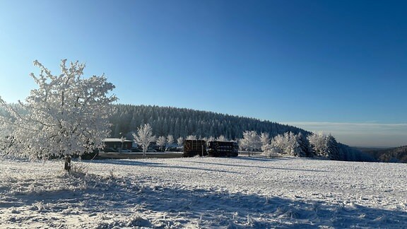 Eine Landschaft mit Bäumen und Schnee in Masserberg. 