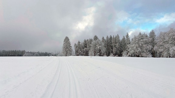 Eine verschneite Landschaft im Thüringer Wald.