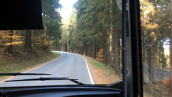 Ein Bus fährt eine Straße entlang durch einen Wald