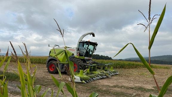 Ein Maishäcksler in einem Feld.