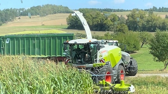 Maishäcksler bei der Ernte auf dem Feld