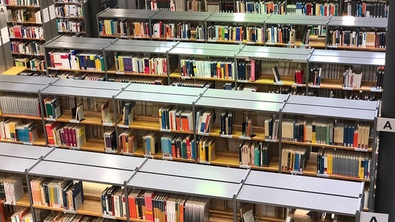 Bücherregale 