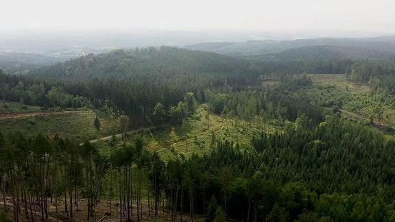 Blick über grüne, bewaldete Hügel.