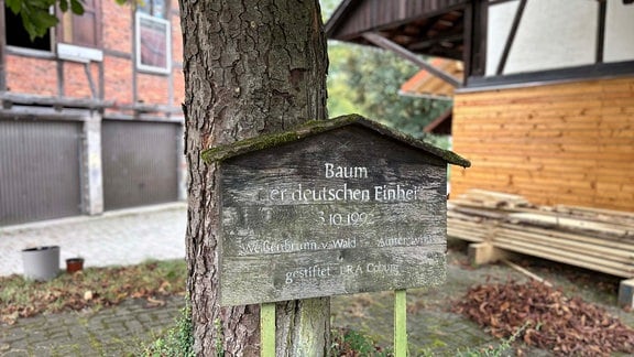 Vor einer Kastanie steht ein verwittertes Holzschild mit der Aufschrift "Baum der deutschen Einheit. 3.10.1992. Weißenbrunn vorm Wald - Almerswind. Gestiftet LRA Coburg"