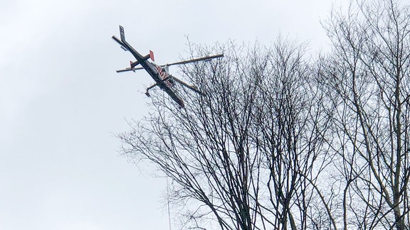 Ein Hubschrauber fällt mit einer an einem Seil befestigten Harvesterkopf Bäume an einem Steilhang.