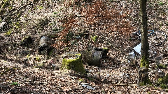 Müll liegt verstreut an einem Hang im Wald
