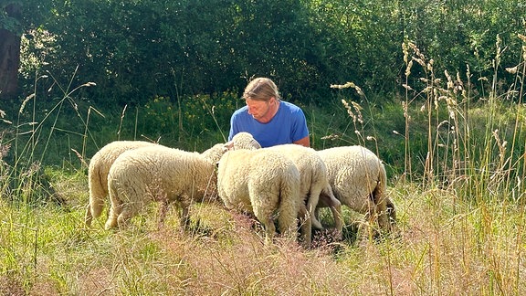 Ein Mann kniet auf einer Wiese. Um ihn herum sind mehrere Schafe.