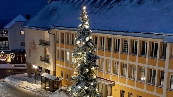 Der Weihnachtsbaum von Neuhaus