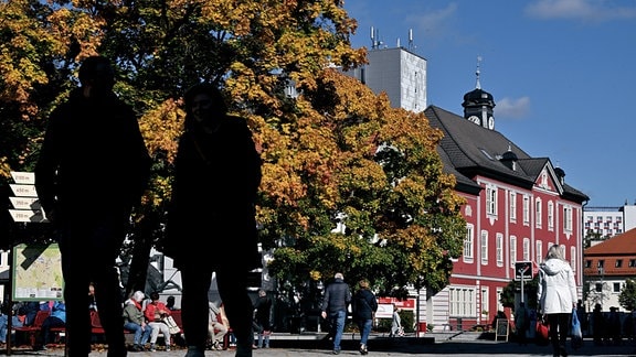 Herbstlich färbt sich das Laub an einem Baum in der Gothaer Straße nahe dem historischen Rathaus.