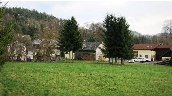 Blick über eine grüne Wiese auf den Ort Föritz.