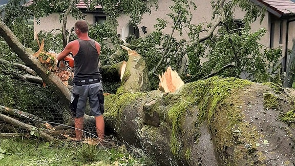 Mann bearbeitet umgefallene Buche nach Unwetter am 15.08.2023 in Tambach-Dietharz mit Kettensäge