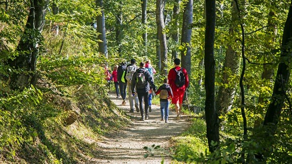 Eine Gruppe Wanderer im Wald.