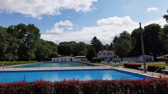 Zwei Schwimmbecken eines Freibads. Die Becken sind von vielen Bäumen umgeben.