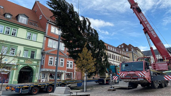 Ein Kran stellt auf dem Marktplatz in Gotha einen Tannebaum auf