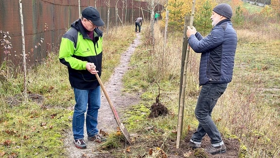 Thüringens Ministerpräsidnet Bodo Ramelow planzt bei der Aktion Baumkreuz einen Baum.