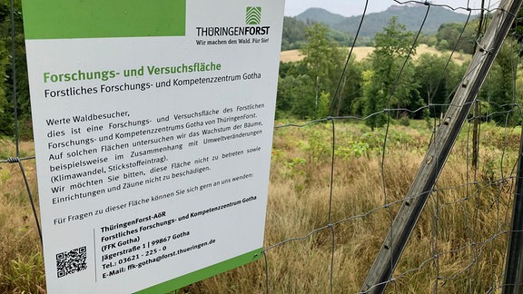 Auf einer Forst-Versuchsfläche bei Eisenach wachsen verschiedene Eichenarten.