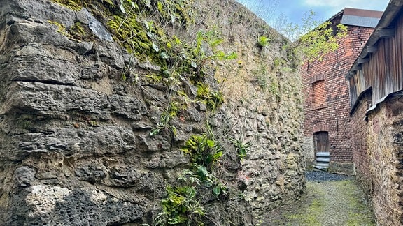 Die sanierte Stadtmauer von Geisa wird eingeweiht