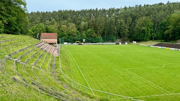 Ein Sportplatz am Waldrand.