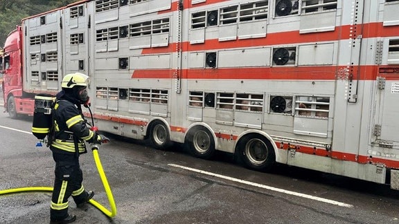 Feuerwehrmann beim Löschen eines Tiertransporters