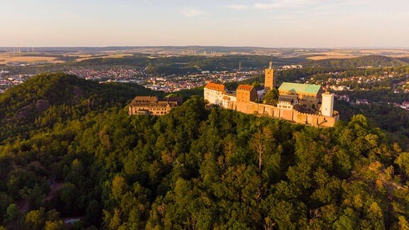 Luftbild einer von Wald umgebenen Burganlage auf einem Berg