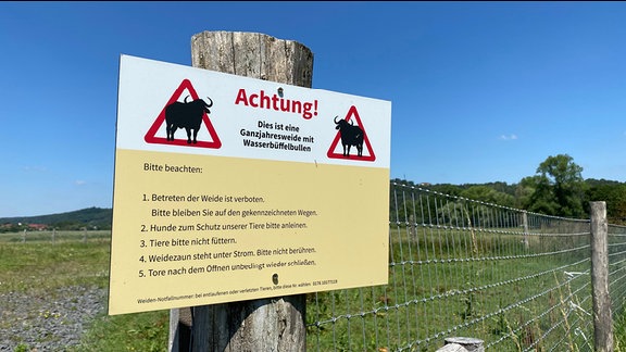 Ein Schild an einem Zaun warnt vor Wasserbüffeln.