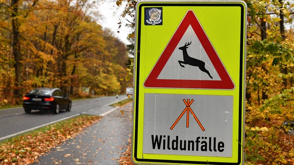 Verkehrszeichen Achtung Wildwechsel und Hinweis auf Markierungen von Wildunfallstellen 