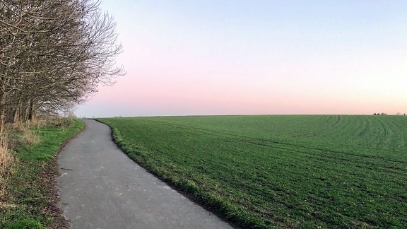 Blick über ein weites Feld, die sogenannte Weinteichsenke nahe Markkleeberg. 