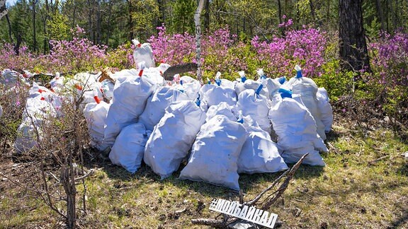 In einem Wald stehen aufgereiht gepackte Müllsäcle, davor liegt ein Schild mit der Aufschrift Moj Baijkal in kyrillischem Schriftzeichen