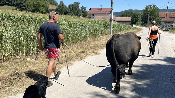 Ein Mann und eine Frau treiben einen Stier auf einem Dorfweg.