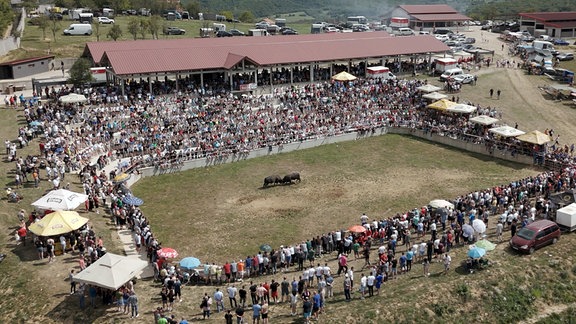 Die Stierkampfarena in Kutanja.